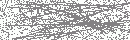 Spam Verification Code