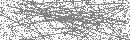 Spam Verification Code